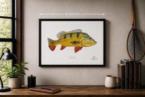 TrueCatch Replica Print (NO FRAME)
